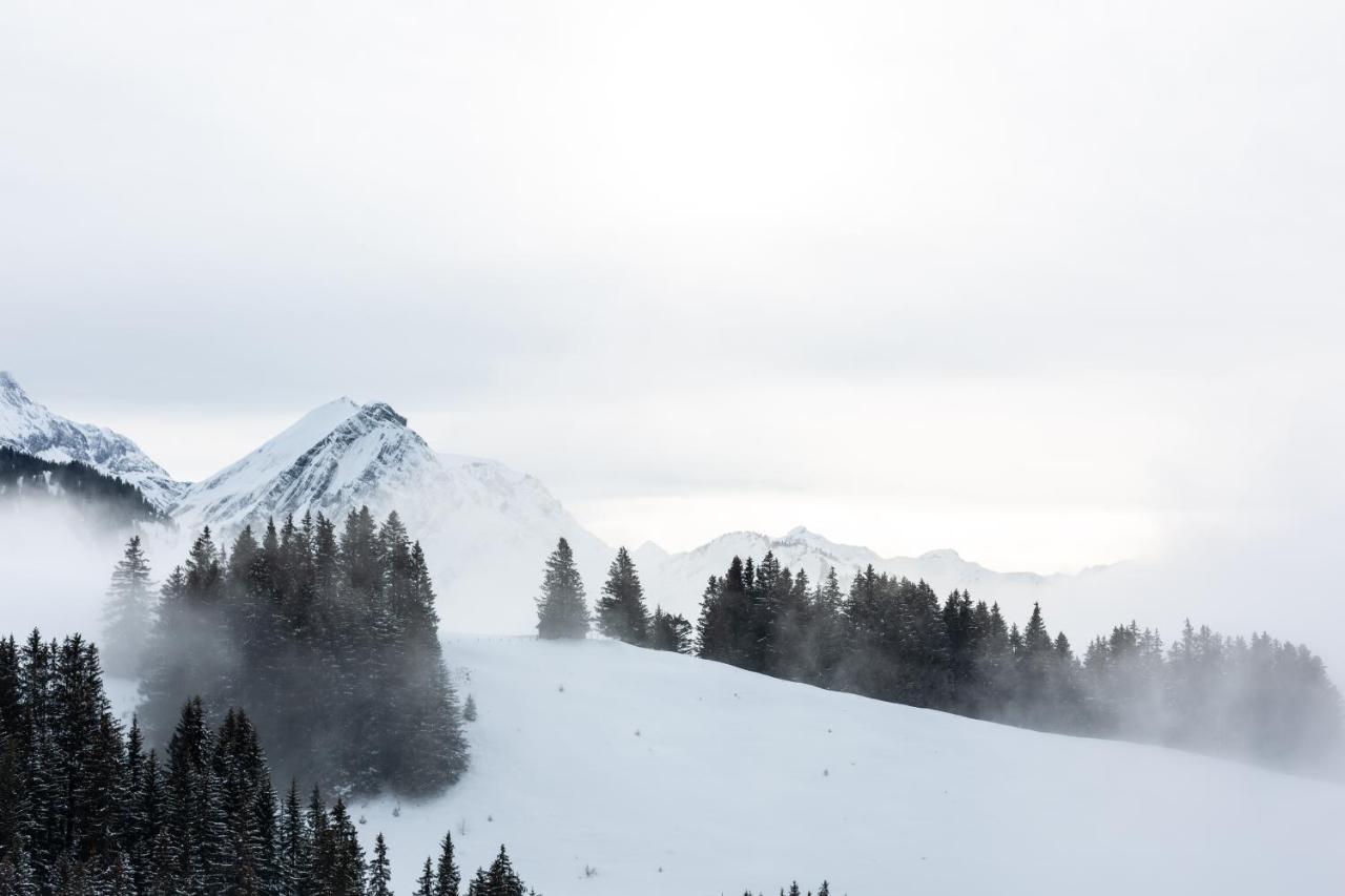 Chalet-Hotel Beau-Site Adelboden Bagian luar foto